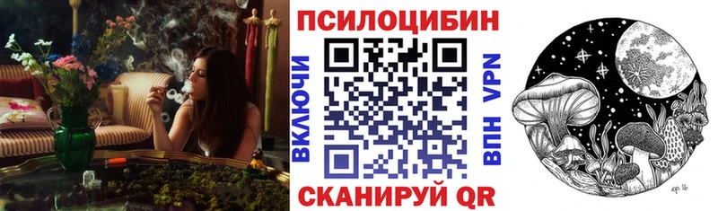 Галлюциногенные грибы мицелий  Невель 