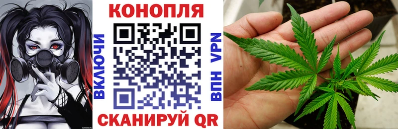 Конопля индика  Невель 
